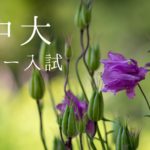 【リハーサル】中央ロー2019年度採点雑感【添削コメント付】