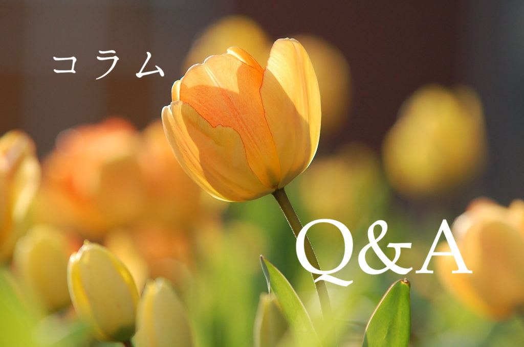 【質問箱】殺人罪の共同正犯の条文適示のとき60、199とあげるのか199、60とあげるのかどちらが正しい?